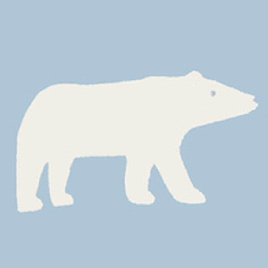 Snowy Polar Bear on North Air